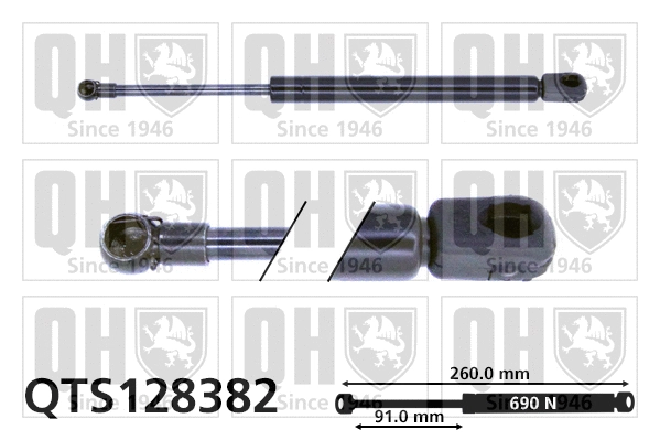 Gas Spring, boot/cargo area (QTS128382)
