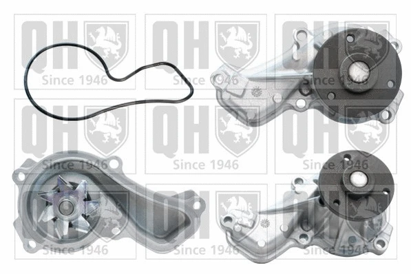 Water Pump, engine cooling (QCP3679)