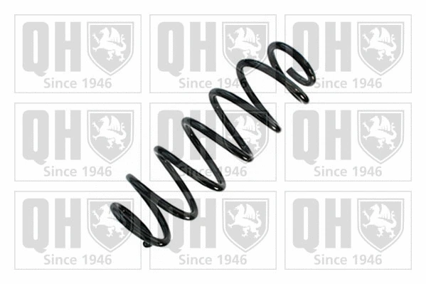 Suspension Spring (QCS8873)