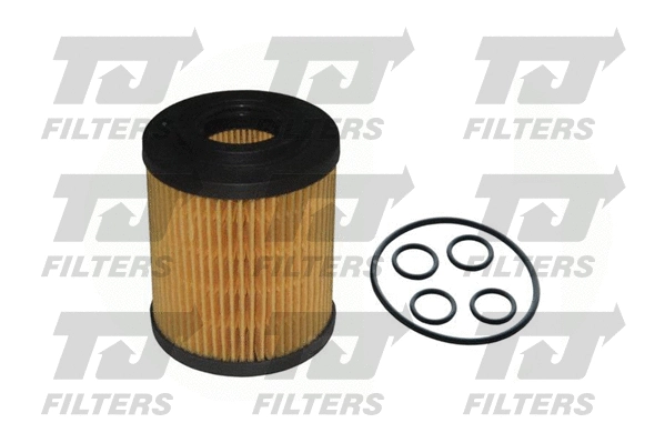 Oil Filter (QFL0021)