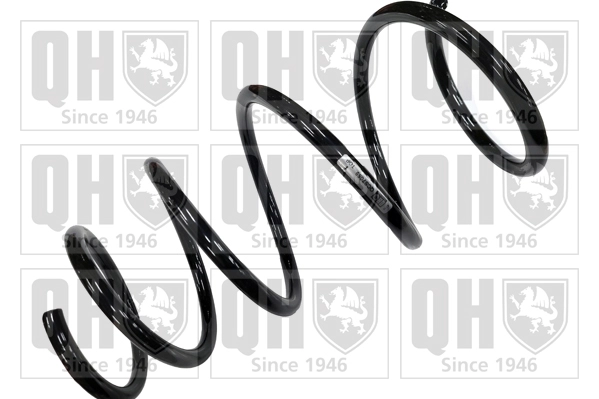Suspension Spring (QCS7069)