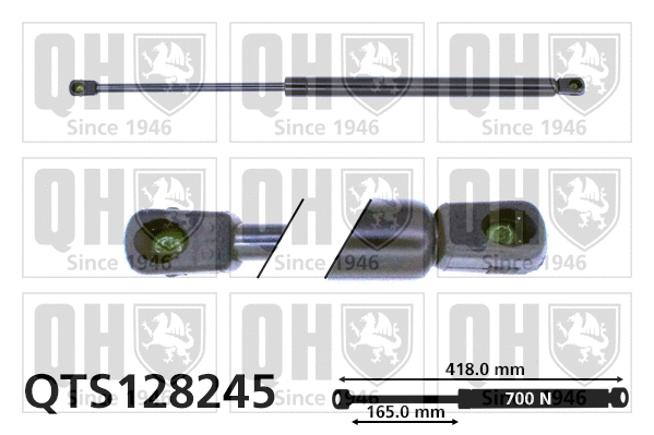Gas Spring, boot/cargo area (QTS128245)