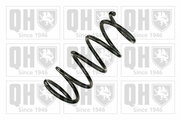 Suspension Spring (QCS8841)