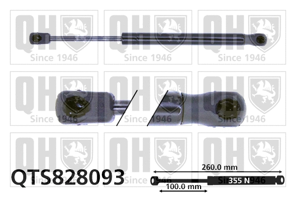 Gas Spring, bonnet (QTS828093)