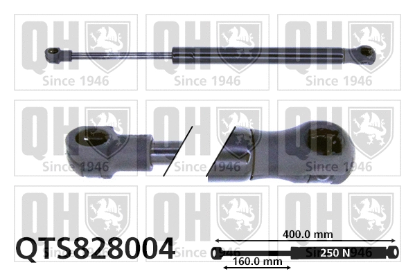 Gas Spring, bonnet (QTS828004)