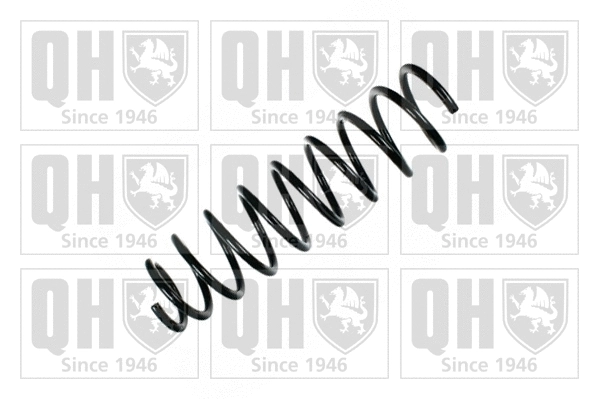 Suspension Spring (QCS5578)