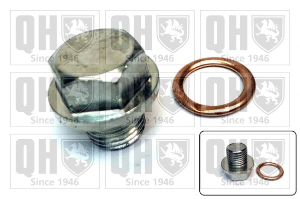 Screw Plug, oil sump (QOC1012)