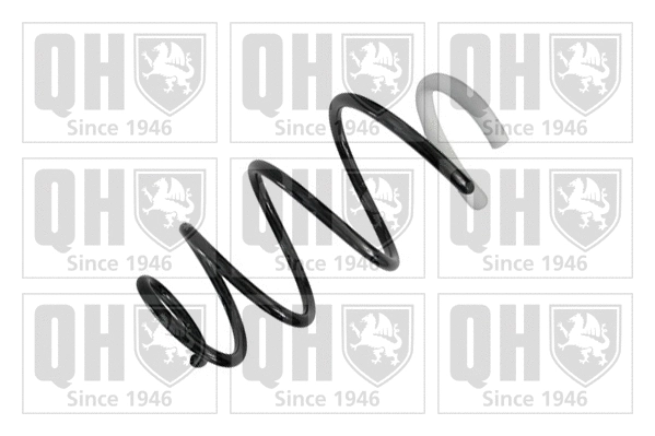 Suspension Spring (QCS6370)