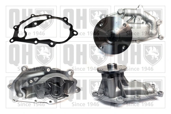 Water Pump, engine cooling (QCP3929)