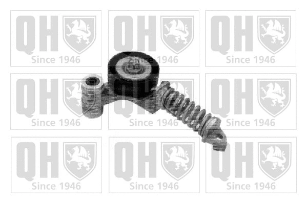 Tensioner Lever, V-ribbed belt (QTA1189)