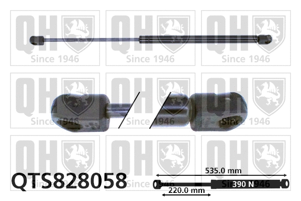 Gas Spring, boot/cargo area (QTS828058)