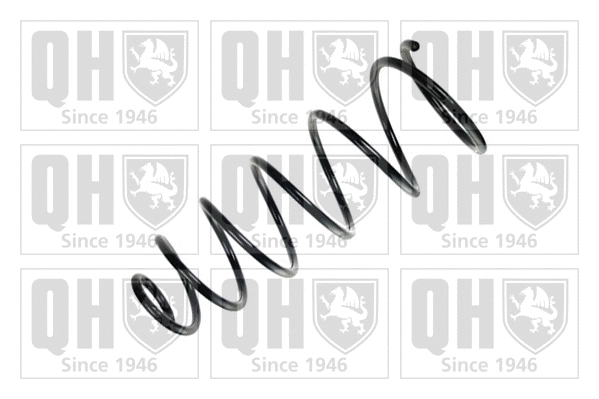 Suspension Spring (QCS6520)