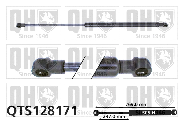 Gas Spring, boot/cargo area (QTS128171)