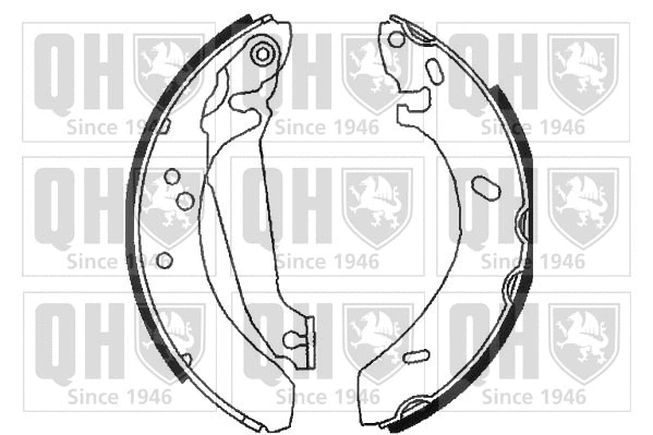 Brake Shoe Set (BS807)