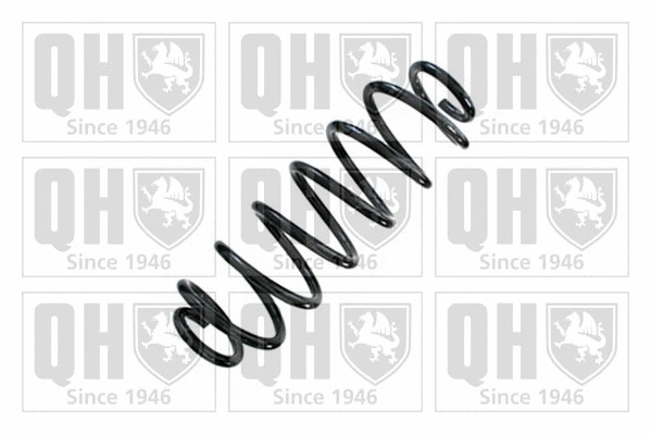 Suspension Spring (QCS8858)