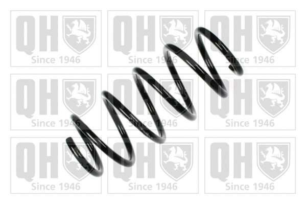 Suspension Spring (QCS8204)