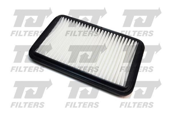 Air Filter (QFA0267)