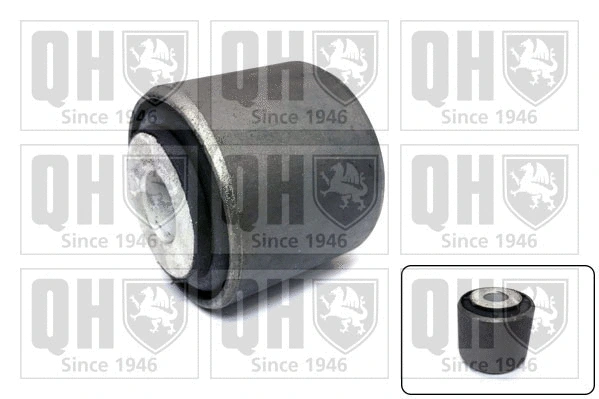Mounting, control/trailing arm (EMS8585)