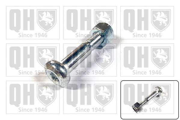 Clamping Screw, ball joint (QSK226S)