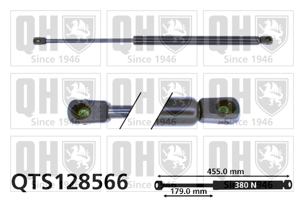 Gas Spring, boot/cargo area (QTS128566)