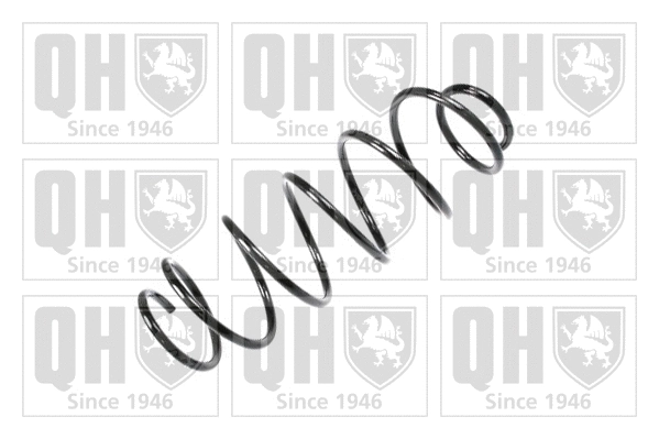 Suspension Spring (QCS6403)