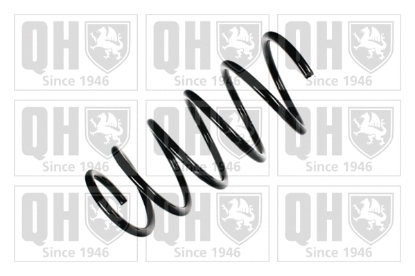 Suspension Spring (QCS5242)