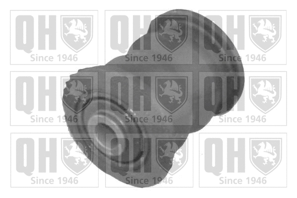 Mounting, control/trailing arm (EMS8166)