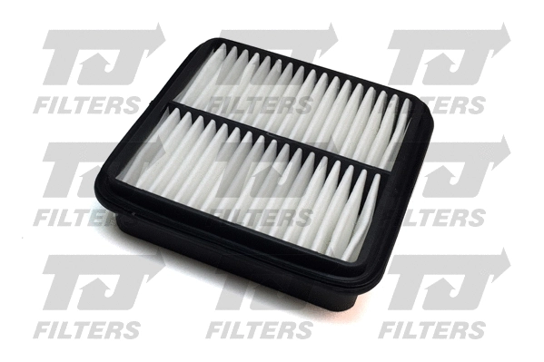 Air Filter (QFA0556)