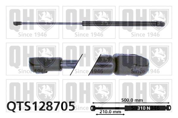 Gas Spring, bonnet (QTS128705)