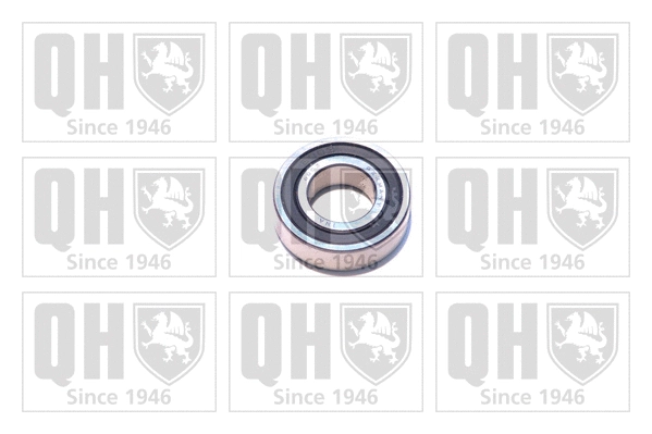 Bearing (XB9919)
