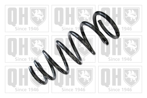 Suspension Spring (QCS5250)