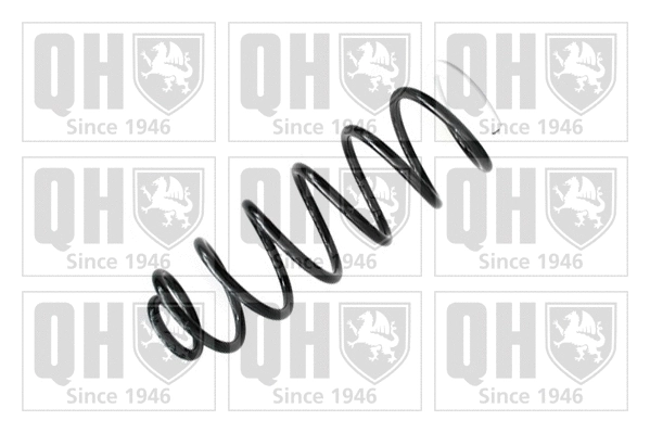 Suspension Spring (QCS6579)