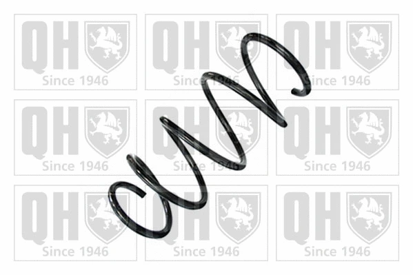 Suspension Spring (QCS8898)