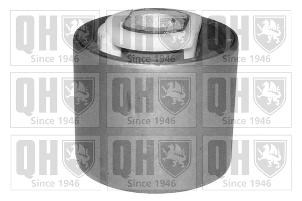 Mounting, control/trailing arm (EMS8033)