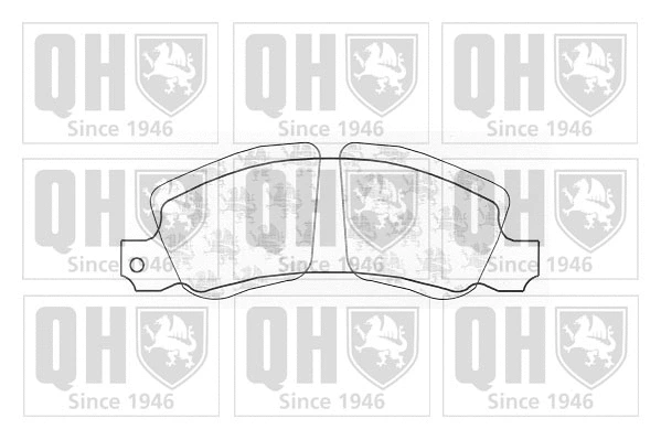 Brake Pad Set, disc brake (BP207)