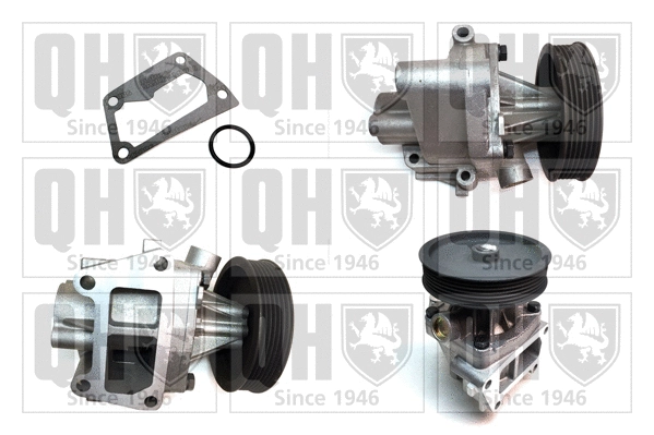 Water Pump, engine cooling (QCP3289BH)