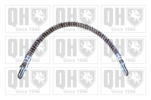 Brake Hose (BFH1109)