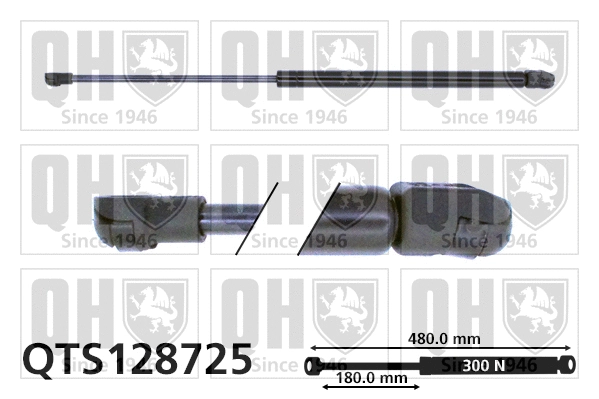 Gas Spring, bonnet (QTS128725)