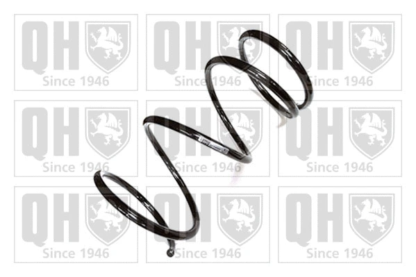 Suspension Spring (QCS8889)