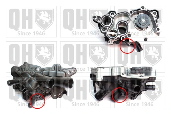 Water Pump, engine cooling (QCP3863BH)