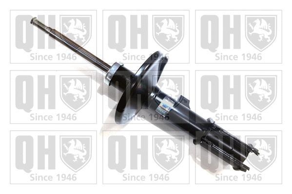 Shock Absorber (QAG178798)