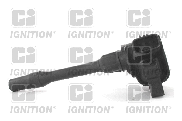 Ignition Coil (XIC8301)