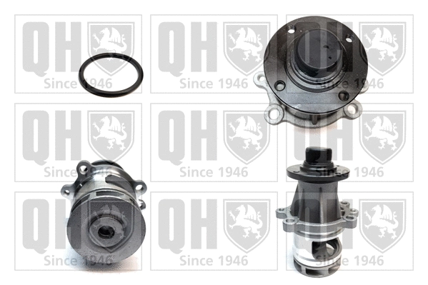 Water Pump, engine cooling (QCP2671)