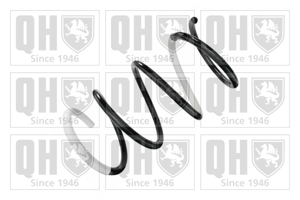 Suspension Spring (QCS8434)