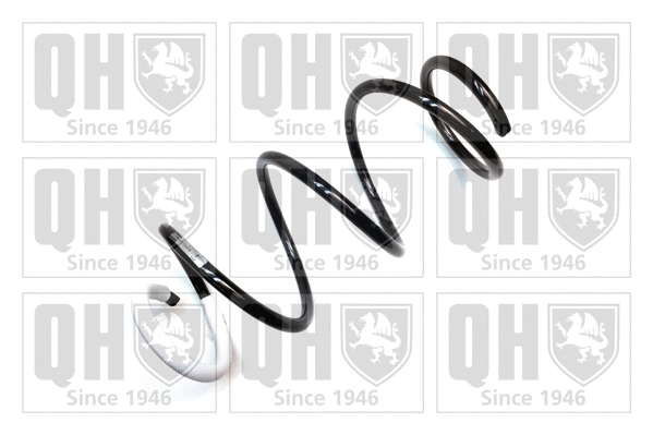 Suspension Spring (QCS6474)