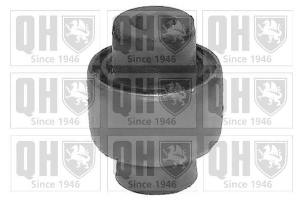 Mounting, control/trailing arm (EMS8287)