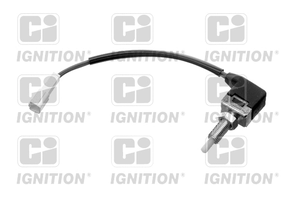 Switch, cruise control (XBLS231)