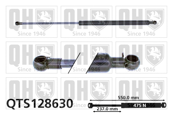 Gas Spring, boot/cargo area (QTS128630)