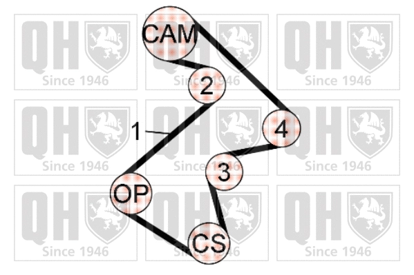 Timing Belt Kit (QBK594)