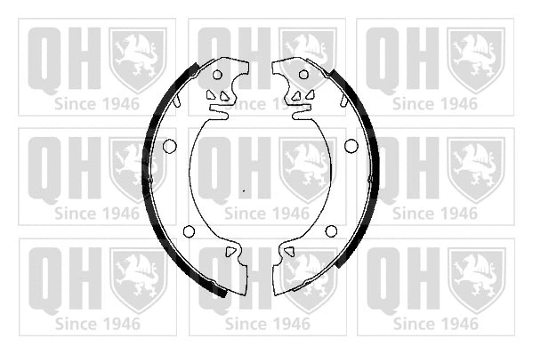 Brake Shoe Set (BS623)
